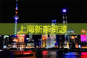 爱上海419论坛：上海的秘密乐园：发现上海后花园的惊喜与欢乐