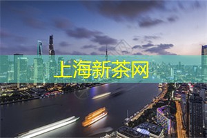 上海新茶工作室联系方式：必须品尝的上海传统茶点，以茶会友的情谊在舌尖流转！