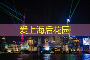 上海新茶工作室：得失之间看人生