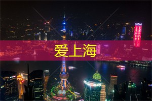 上海品茶网：细腻夜景，见证城市更迭与发展